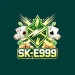 SKE999 Game icon