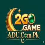 2GO Game icon
