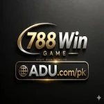 788 Win Game icon