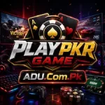 Plarpkr Game icon