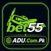 Bet 55 Game icon