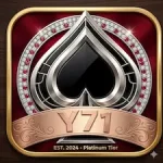 Y71 Game icon