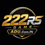 222RS Game icon