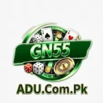 GN55 Game icon